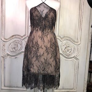 Keepsake Black Lace over Blush Lining Halter Back Waisted Sheath Dress Size L